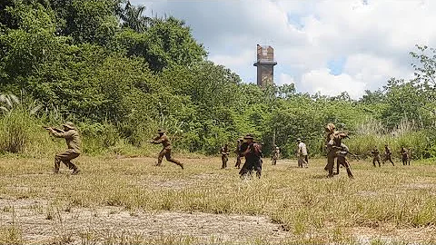 US Marines and Panamanian Forces Exercise Jungle Operations! Cooperation for Regional Stability 🔥🌴