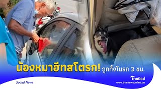 ระทึก! ทิ้งหมาไว้ในรถ 3 ชม. ชาวบ้านช่วยกันวุ่น ทาสหมาเศร้า อาการหนักฮีทสโตรก | Thainews - ไทยนิวส์