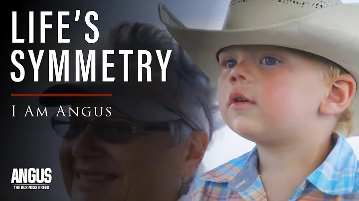 LIFE'S SYMMETRY - I Am Angus: A&B Cattle (2020)