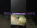 山道を走っていたら何が映ってた😱