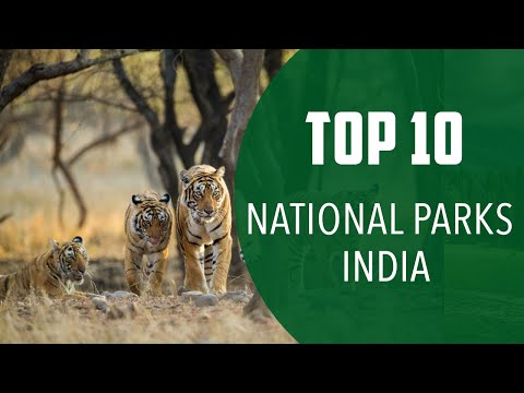 Video: 13 Taman Nasional Terbaik di India untuk Dikunjungi