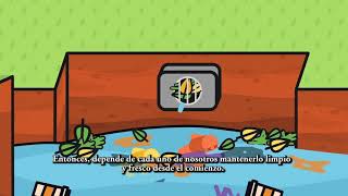 Stormwater Smart - Pollution (with Spanish Subtitles)