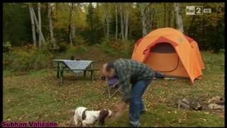 Gulmeli Prikollar 2016