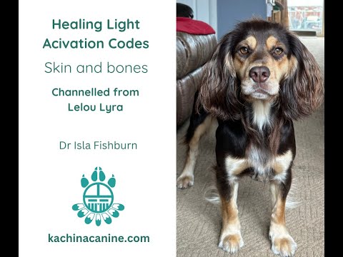 Healing Light Code Activation from Lelou Lyra for your animal - skin and bones