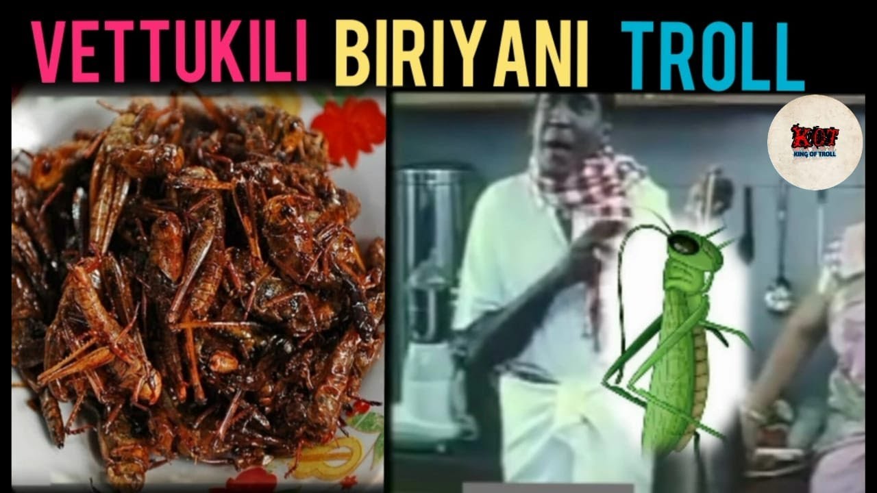 vettukili biryani Troll / king of troll tamil - YouTube