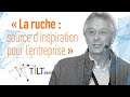 Ce que la ruche nous apprend sur lentreprise  henry duchemin   confrence tilt ctes darmor