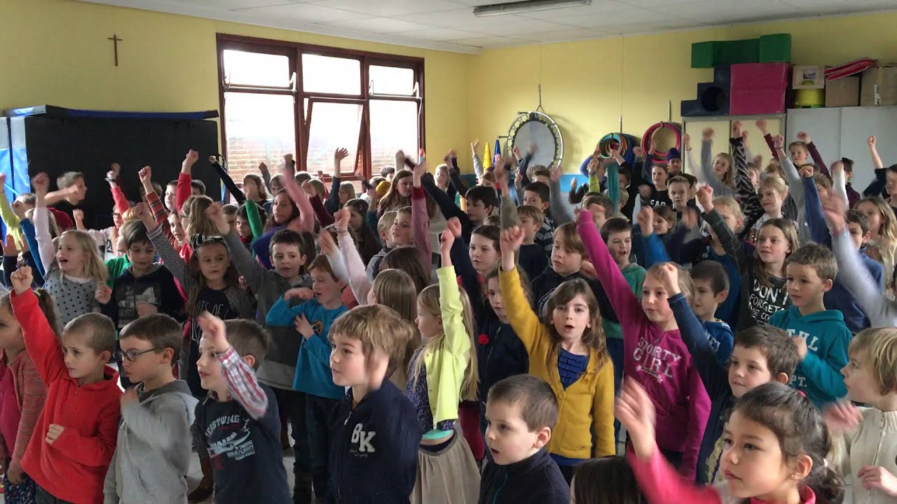 Move tegen pesten 2016 @ Parkschool - Iedereen Brullie!