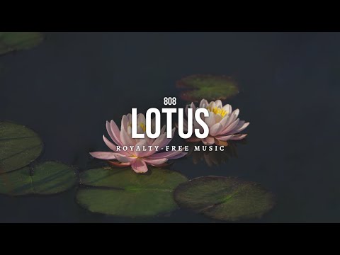 YouTube पर 🪷808 Lotus [ Royalty-Free ]🎶Asian Trap & Hip Hop Music by Punch Deck🌸 देखें