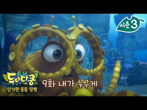 두다다쿵3 <strong>신기한</strong> <strong>동물</strong> 탐험 | 9화 본편 | 내가 누구게? | 흉내문어 | 변장술의달인 | Animation for Kids