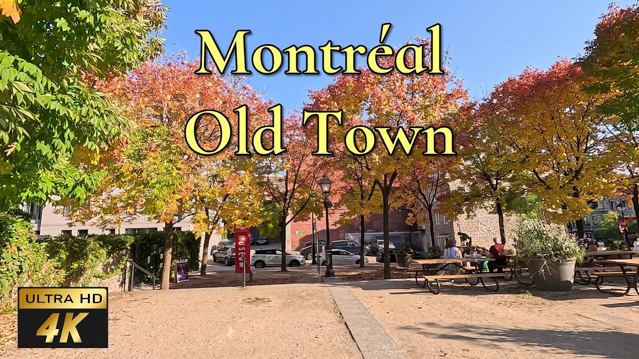 🇨🇦 Montréal's Old Town - beautiful autumn walking tour in 4K 60fps ...
