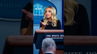 McEnany: Democrats created a MESS!