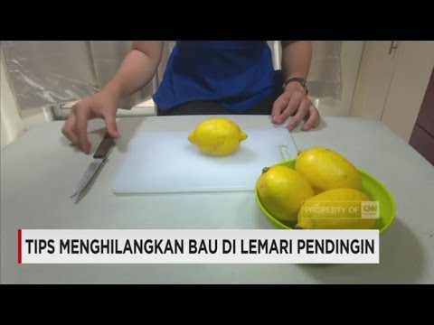 Video: Mengapa kulkas saya bau?