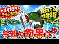 4月18日ライブ配信！釣れてる情報満載！！今週の釣果は！？