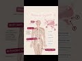Nervous system #science #cbse12thbiology #shortfeed #education #animation #shorts #shortsviral