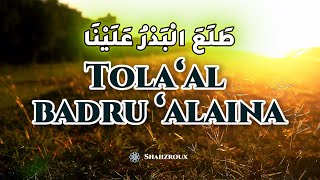 Selawat & Qasidah Ṭola‘al Badru ‘Alaina – Versi Penuh Syahdu (SHAHZROUX)
