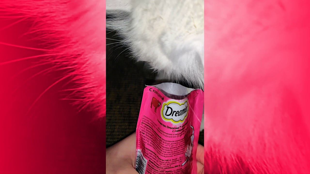лакомство для кошек компании Марс Dreamies
