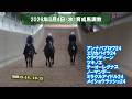 育成馬調教 2026年3月4日（2歳馬8頭）