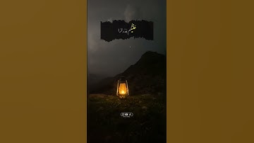 #ماهر_المعیقلي | #سورة_هود