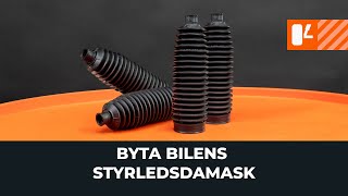 Byta Damask till styrväxel gör-det-själv - video online