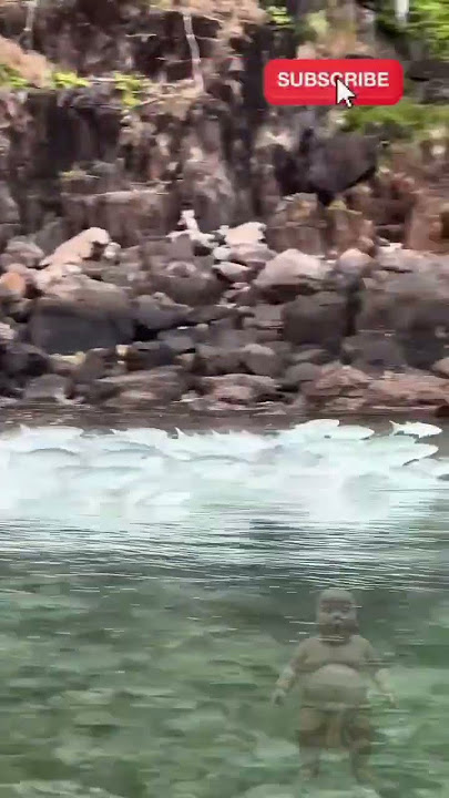 IKAN latihan berlari😲 #shorts #trending #viralvideo #ikan #fish #fishing #fishingvideo #ikanlaut
