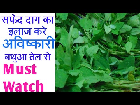 बथुआ-तेल-के-प्रयोग-से-सफेद-दाग/-vitiligo-/-leukoderma-की-समस्या-को-करे-जड-से-खत्म-healthy-life-goals