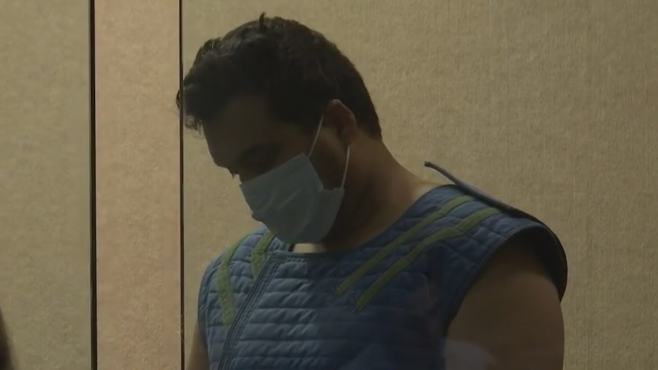Man accused of beheading young mother with samurai sword appears in ...