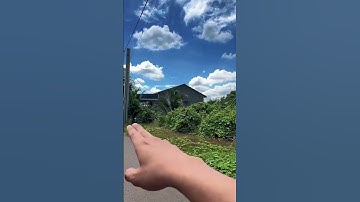 Cần tiền trả nợ ngân hàng đành phải bán đất vườn có thổ cư ở Bà Rịa Vũng Tàu#shorts