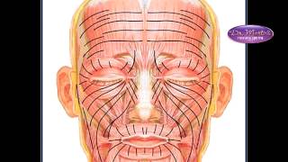 Botox training screenshot 4