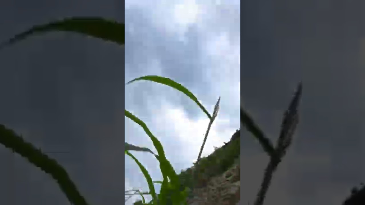 DJI Mavic Air 2 CRASHED! (It was fine though) 