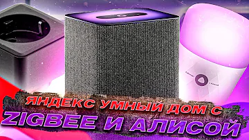 Чем отличается Зигби от Алисы? Всего ответов: 25