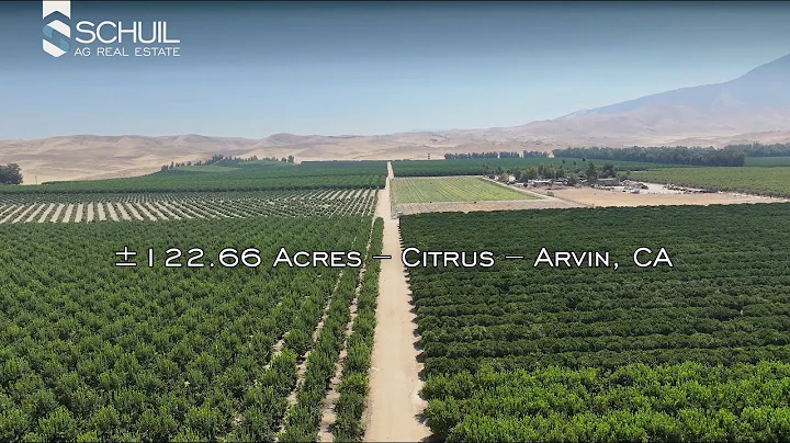±122.66 Acres – Citrus – Arvin, CA