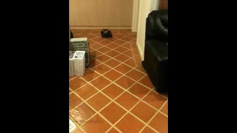 Microcontroller controlled RC Car