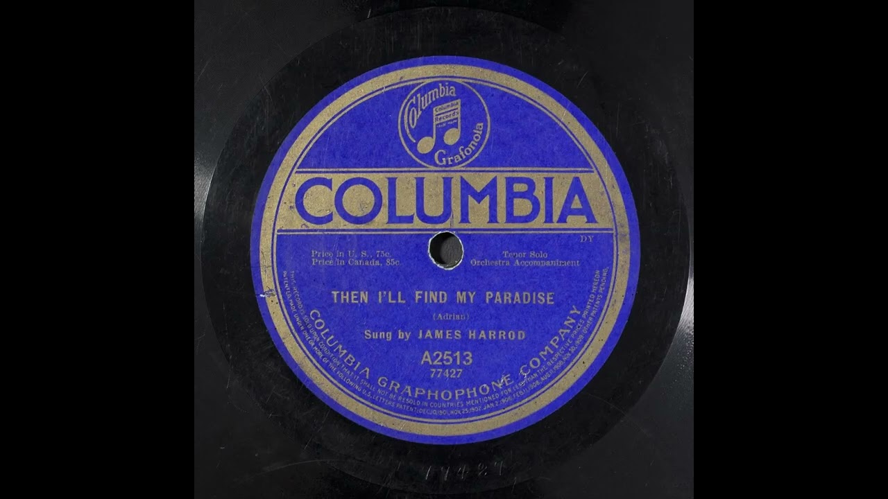 Then I'll Find My Paradise - James Harrod