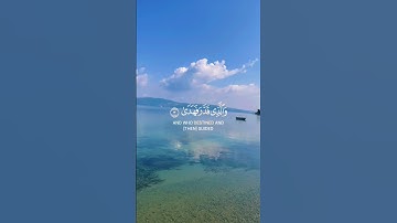 قران كريم | سورة الأعلى | عبدالرحمن مسعد | حالات واتس #حالات_واتساب