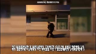 DJ MASHUP X MELODY TANTE CULIK AKU DONG V5 BY SODIK FVNKY FT NESS FX ( SLOWED VERSION )