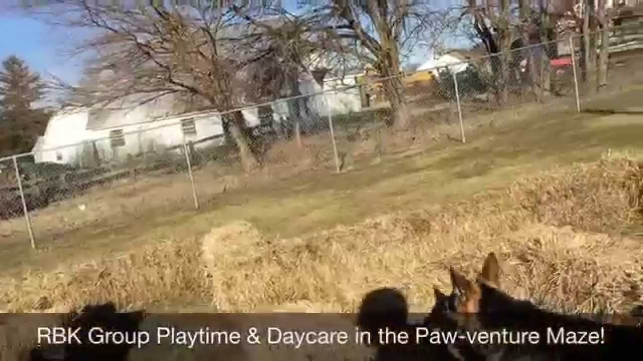 camera iphone 8 plus apk Group Playtime & Daycare - 03-18-15