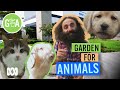 Animal Shelter Garden | Discovery | Gardening Australia