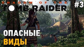 Shadow of the tomb raider #3 Опасные виды Shadow of the tomb raider #3 Опасные виды