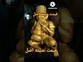قیمت عتیقه های کشف شده درایران زیرخاکیgold عتیقه Shorts 