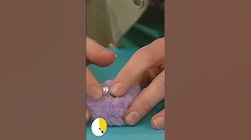 Make... Pet Bugs in 60 Seconds! | Mister Maker