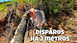 Pesca de tilápia na barranca- Pesca com arco composto