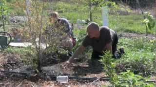 FGCU Food Forest