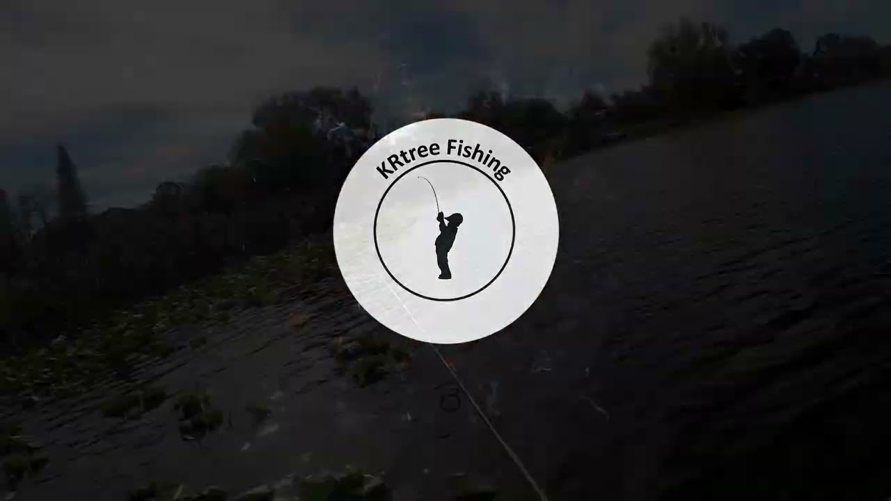 Hooked on a Reel good time! Bass Fishing…🐟