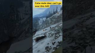 Another bug in theHunter Cotw… but hey that $$$ buys tents for the grinds!