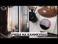 Учеба на каникулахＩАбу Даби - Москва - Лондон