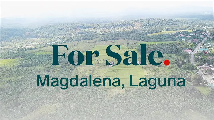 For Sale: 30 Hectare Farm Lot in Magdalena, Laguna