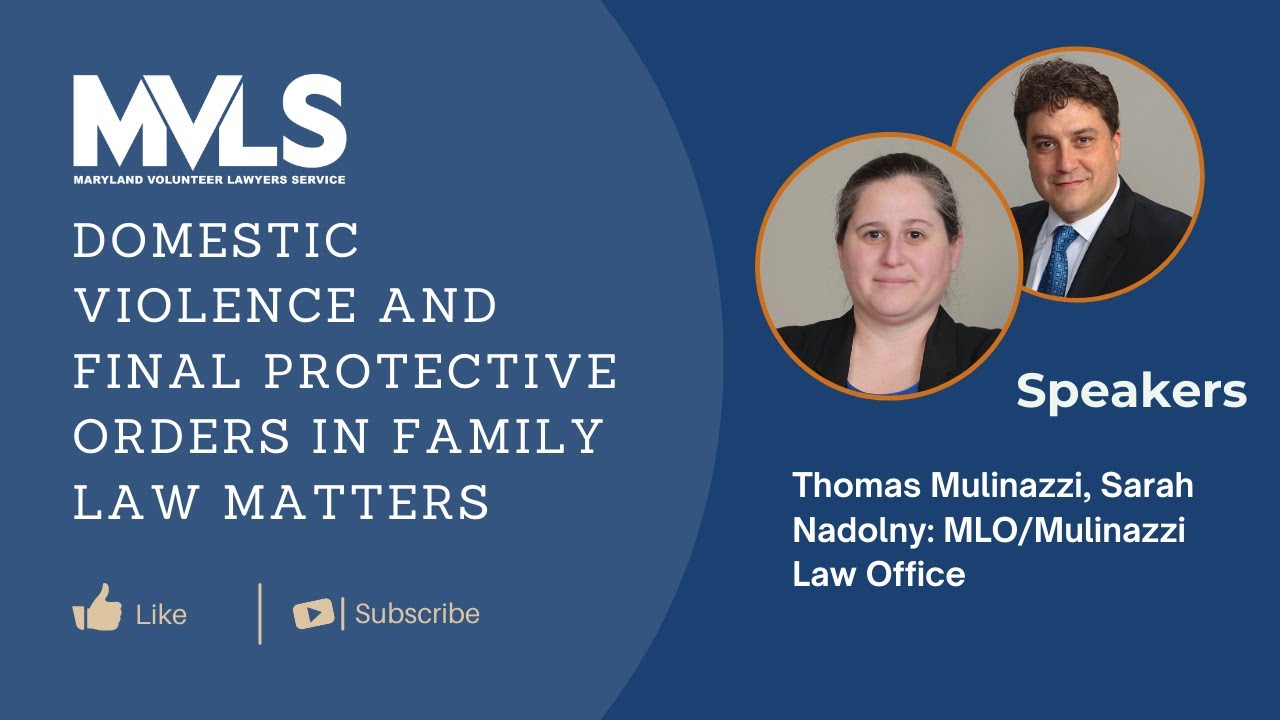 Domestic Violence and Final Protective Orders in Family Law Matters ...