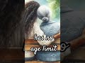 ❤️A mother is forever 💐❤️#mother #motherlove #viral #shorts