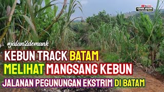 MELIHAT KEBUN SAYUR DAN BUAH DI BATAM • Mangsang Kebun Piayu Batam • Pusat Sayur Di Kota Batam