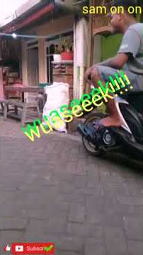 Pengamen lucu || story wa ngakak(short).